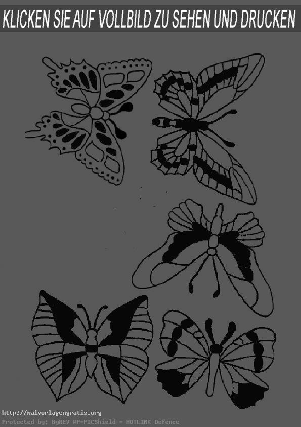 Malvorlagen Schmetterling-3