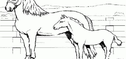 Malvorlagen Pferde-10