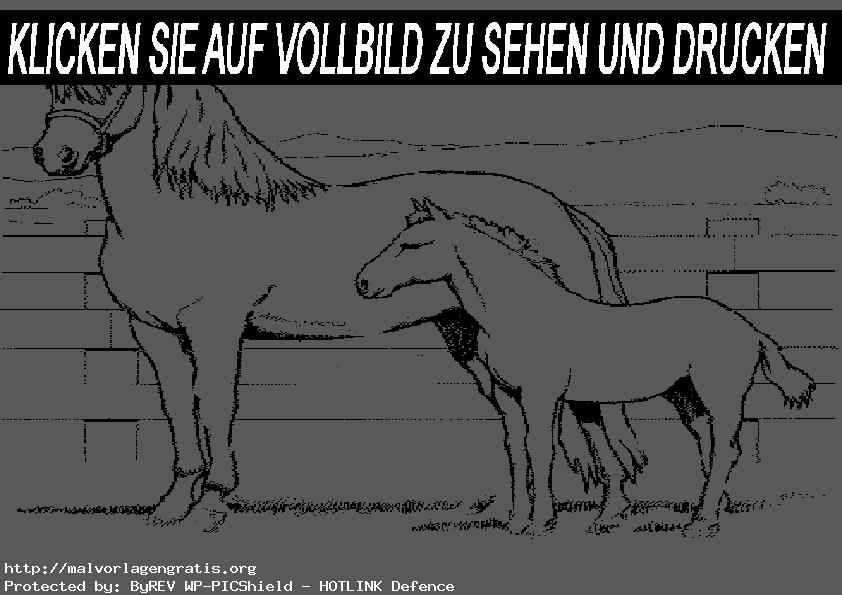 Malvorlagen Pferde-10