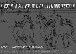Malvorlagen Pferde-4