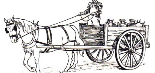 Malvorlagen Pferde-5