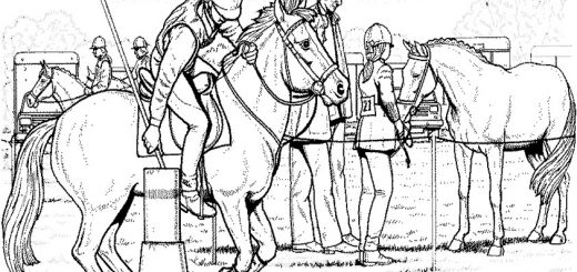 Malvorlagen Pferde-6