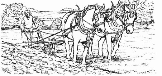 Malvorlagen Pferde-7