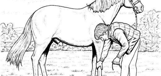Malvorlagen Pferde-9