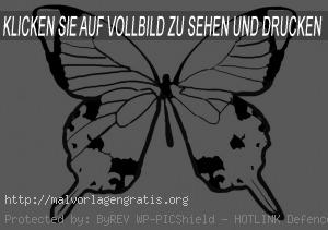 Malvorlagen Schmetterling-4
