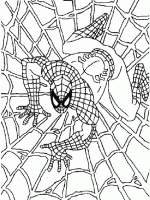 Spiderman-6