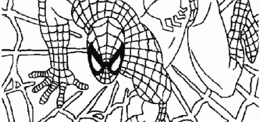 Malvorlagen Spiderman 6