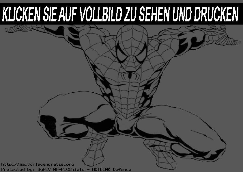 Spiderman 8