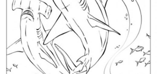 Malvorlagen Tiere-15