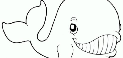 Malvorlagen Tiere-19