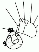 Angry-birds-11