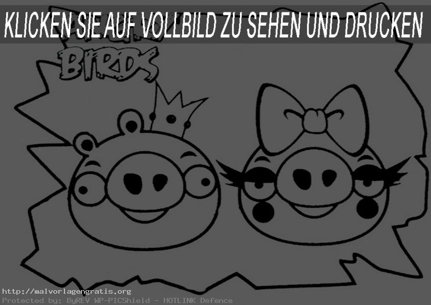 Angry-birds-12