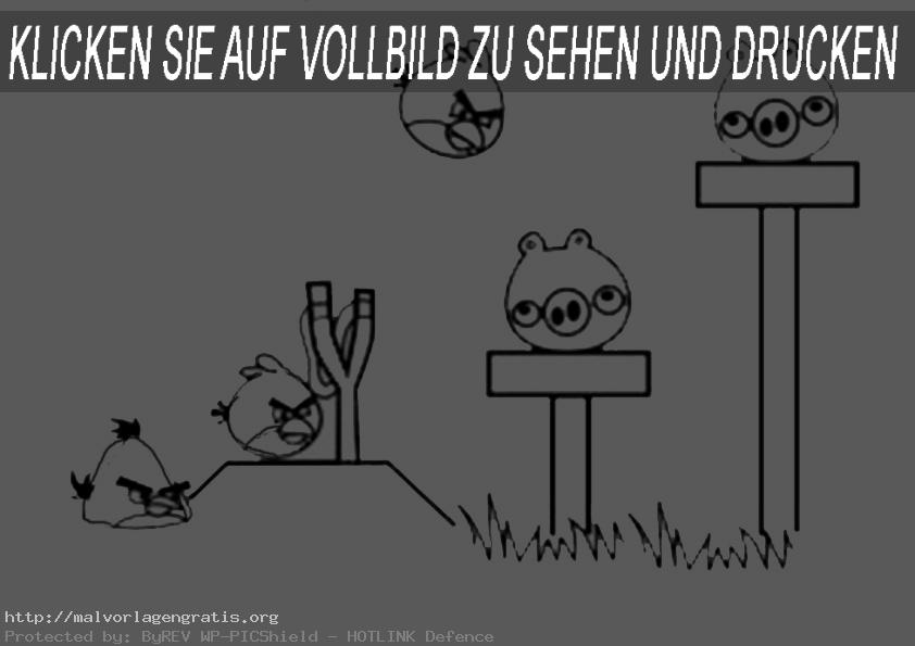 Angry-birds-17