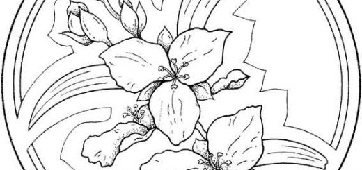 Malvorlagen Mandala-12