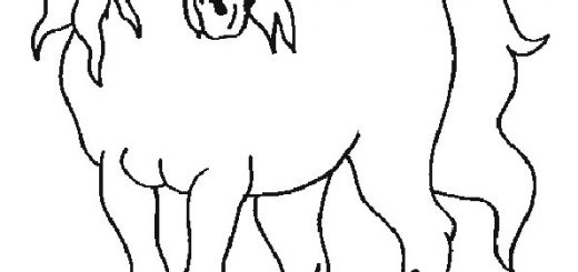 Malvorlagen Pferde-13