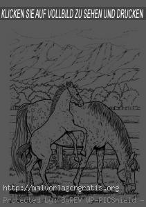 Malvorlagen Pferde-16