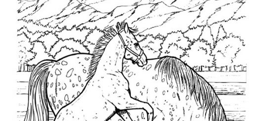 Malvorlagen Pferde-16
