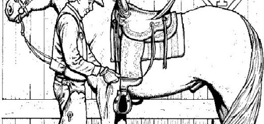 Malvorlagen Pferde-20