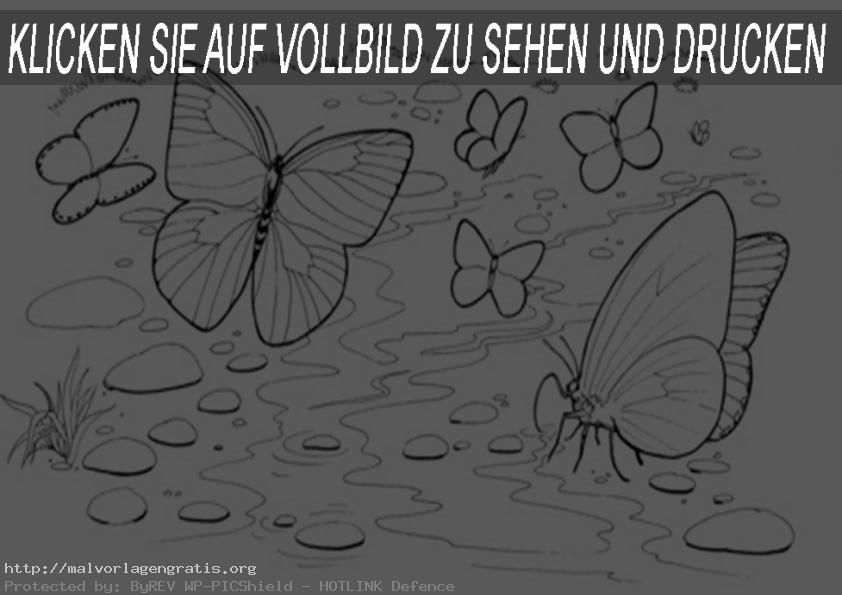 Malvorlagen Schmetterling-11