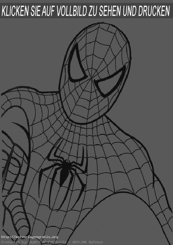 Spiderman-12