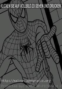 Malvorlagen Spiderman-19