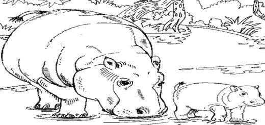 Malvorlagen Tiere-16