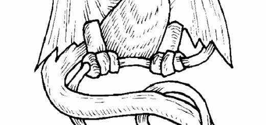 malvorlagen gratis drachen-1