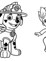 Paw patrol-1