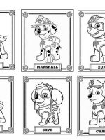 Paw patrol-8