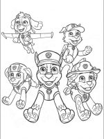 Paw patro-13
