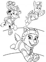 Paw patro-17