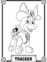 Paw patro-19