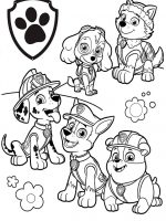 Paw Patrol-11
